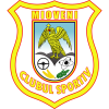 CS Mioveni