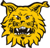 Ilves