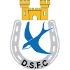 Dungannon Swifts